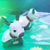 Two Mira Robots.